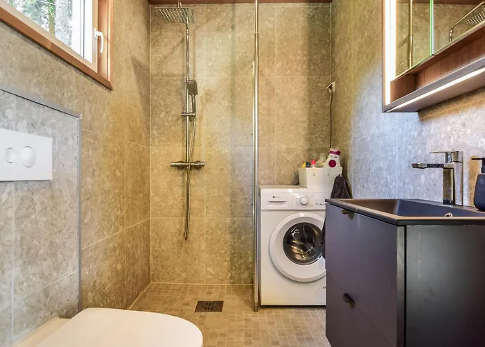 Lokinkaerki By Interhome Orivesi